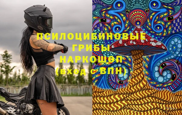 крисы Абдулино